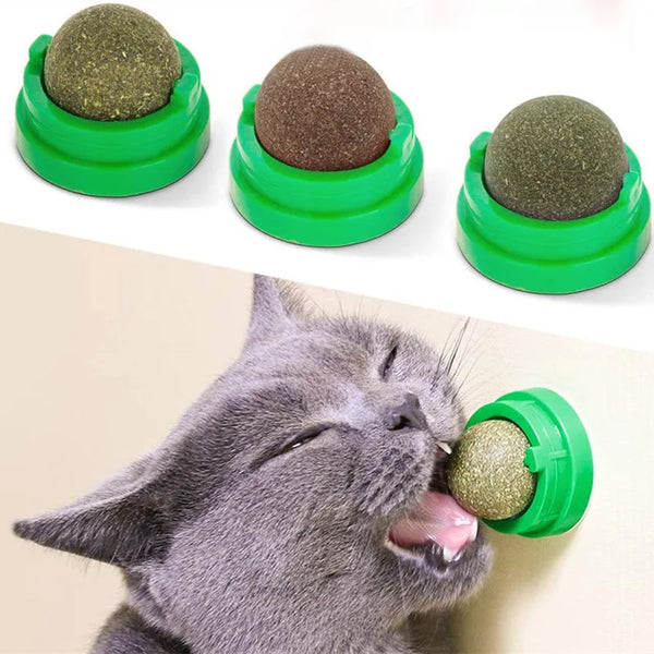 Bola deleites, saudável, natural, removedor bolas, promove a digestão, lanche de grama para gato