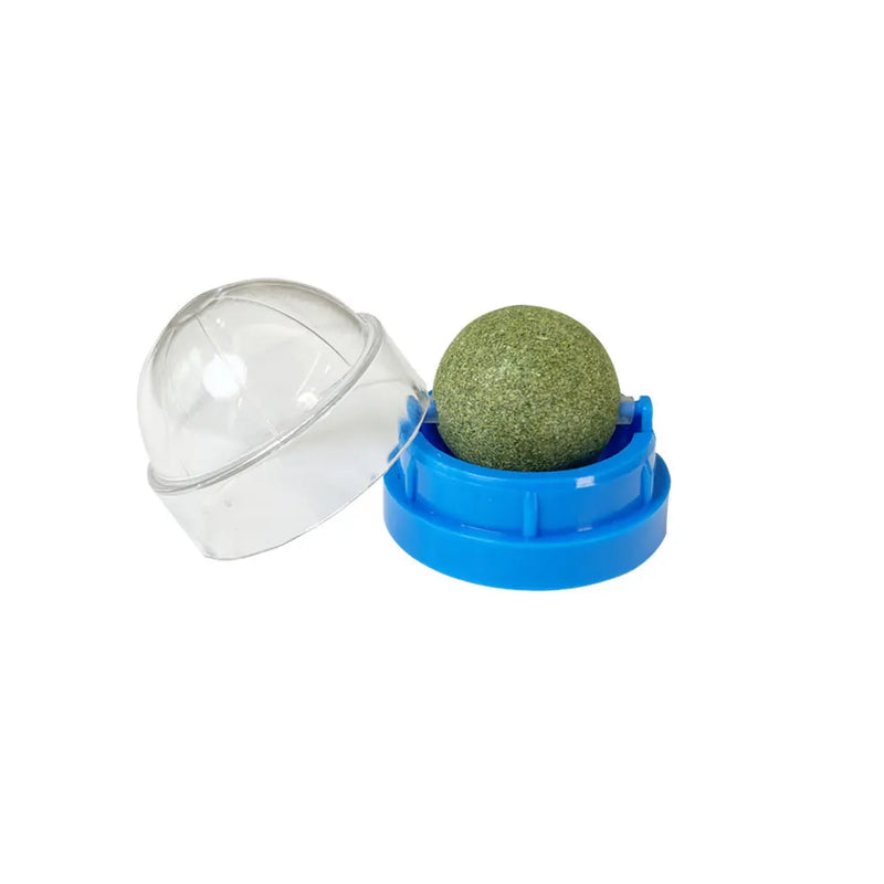 Bola deleites, saudável, natural, removedor bolas, promove a digestão, lanche de grama para gato