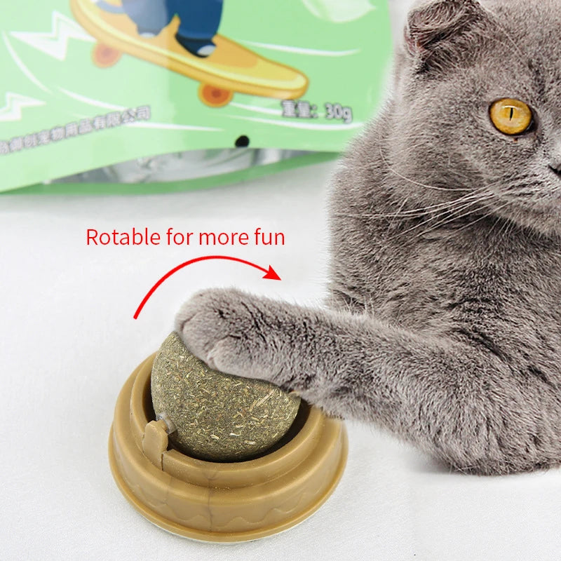 Bola deleites, saudável, natural, removedor bolas, promove a digestão, lanche de grama para gato