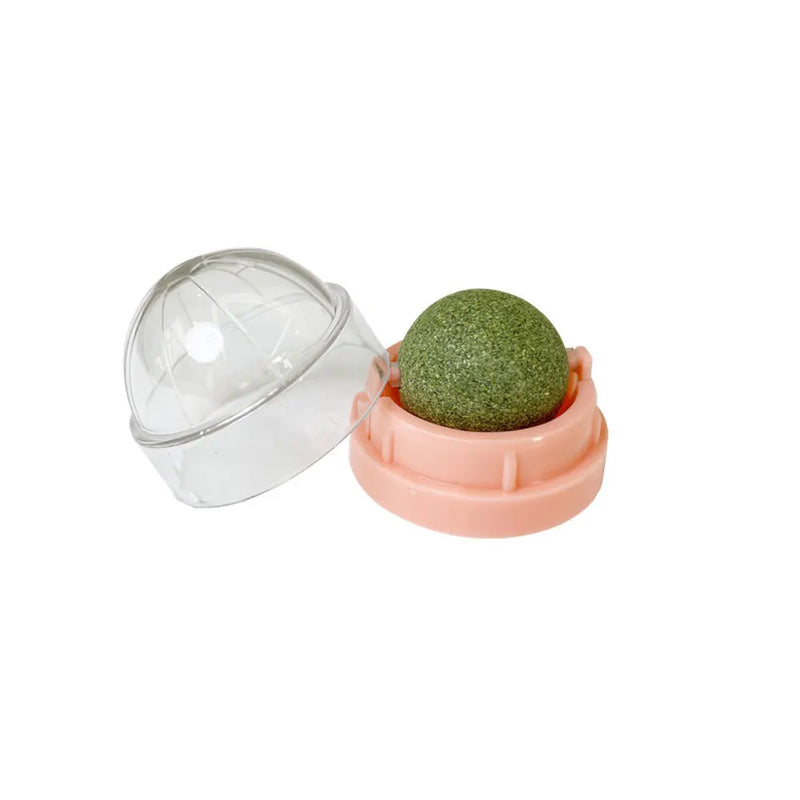 Bola deleites, saudável, natural, removedor bolas, promove a digestão, lanche de grama para gato