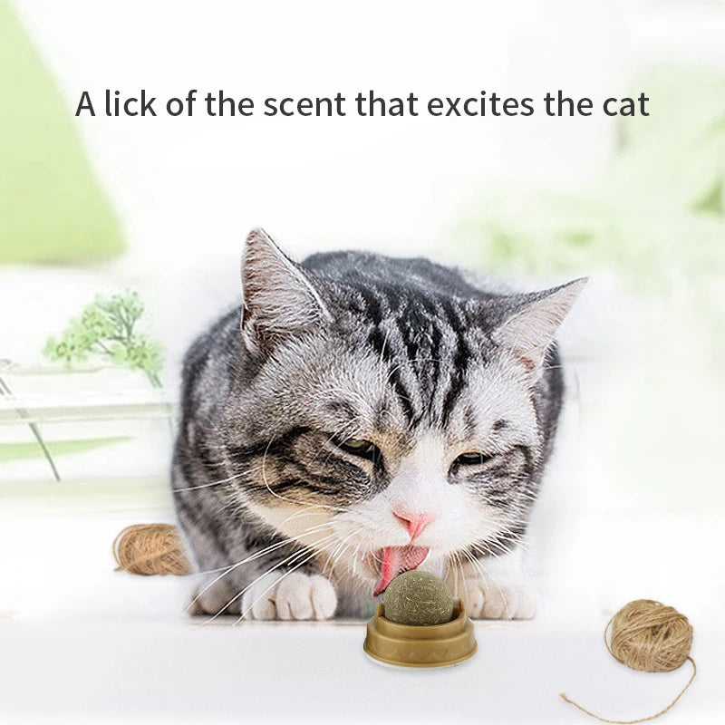 Bola deleites, saudável, natural, removedor bolas, promove a digestão, lanche de grama para gato